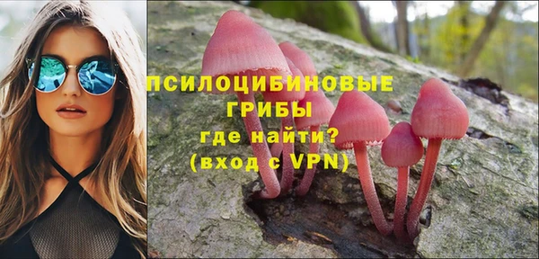 сатива Алексеевка