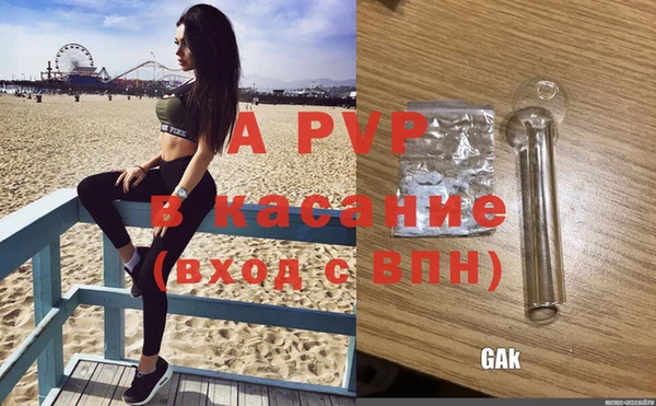 сатива Алексеевка